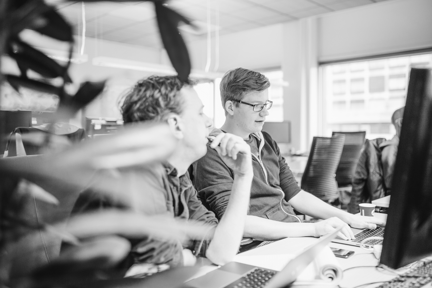 devteam